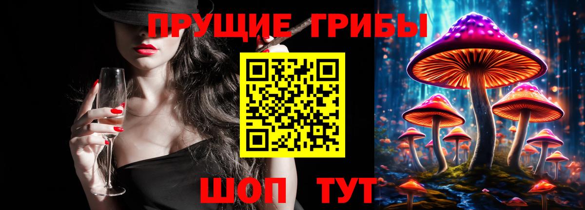 Коряжма  Псилоцибиновые грибы мицелий  Псилоцибиновые грибы прущие грибы  Вход с VPN 