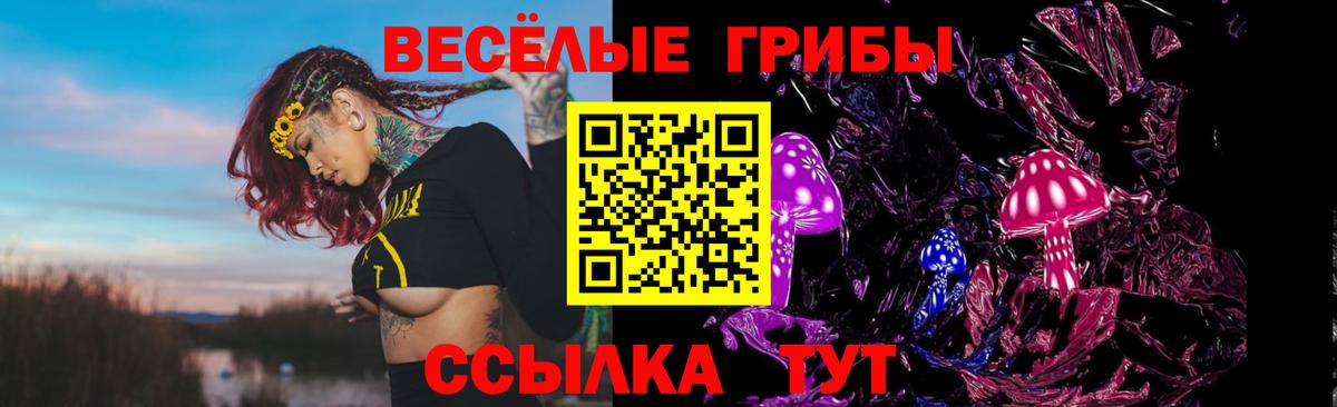 Галлюциногенные грибы GOLDEN TEACHER Коряжма